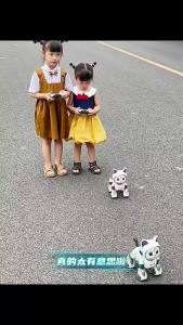 Remote Control Walking Robot Cat Toy Electric Meowing Pet Gift for Boys Girls Kids Birthday Christmas