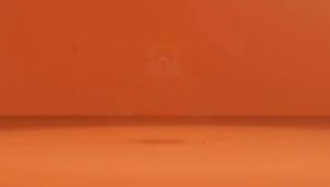 ️现货️ReadyStocks Tiger blocks toys 如虎添翼 极嘉6046 国潮 暴富 小老虎 微钻 小颗粒 积木 益智 拼装 玩具