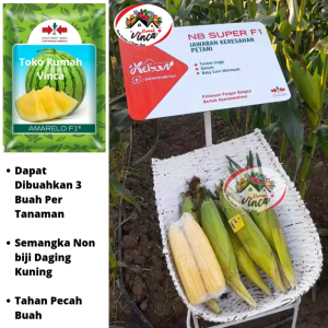 Benih Bibit Jagung Manis Madu NB Super F1 200 Butir Cap Panah Merah