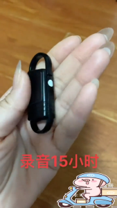 Long Battery HD Noise Reduction Mini Voice Recorder 12H Recording Time Digital Voice Recorder Keychain Recorder Built-in 64GB