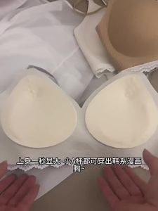 AISHAYA | Thickening Concealing Gather Bra 4cm