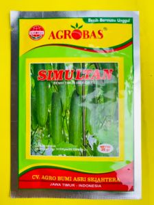 Benih Timun Hibrida F1 SIMULTAN: 25 Gram Benih Timun Berkualitas Tinggi
