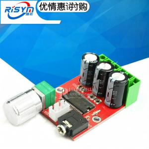 Risym | High-resolution D-Class Audio Amplifier Board 12V