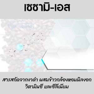 ส่งฟรี #งาดำ งาดำแคปซูล งาดำสกัด กิฟฟารีน เซซามิน SESAMI-S GIFFARINE | สารสกัดงาดำ เซซามิ เซซามินกิฟฟารีน สารสกัดงาดำเข้มข้น