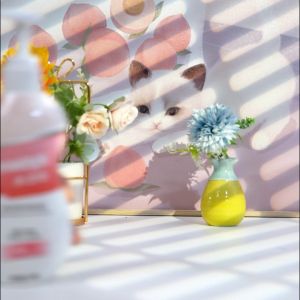 Seaways Antibacterial Underwear Laundry Detergent Ladies Antibacterial Underwear Hand Wash