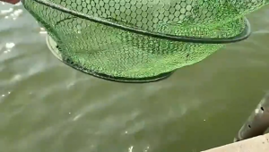 Portable Mesh Cage Foldable3-Layers or 2-Layers Nylon fishing net fish and shrimp net cage Cast mesh