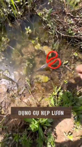 Kẹp Bắt Lươn  Bắt Rắn Bắt Hải Sản Chống Trơn Trượt INOX Loại - RA888