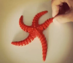 Cuero Mainan Starfish Bintang Laut Artikulasi  Plastik Dimainkan di Air Anak Edukasi