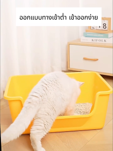จัดส่งจากกรุงเทพ ห้องน้ำแมว ขอบสูงกันกระเด็น ขนาดใหญ่ ให้พลั่ว กระบะทรายแมว กระบะทรายแมวขนาดใหญ่ กระบะทรายแบบจัมโบ้