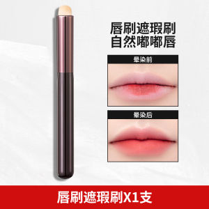 Bàn Chải Tô Môi Đa Năng Đầu Tròn Giá Rẻ Di Động Phù Hợp Cho Người Mới Bắt Đầu Bàn Chải Trang Điểm Cho Nữ