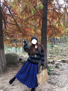 High Waist Plaid Mini Midi Skirt Womens Fashionable Retro American Style Half-length Bicolor A-Line Skirt for Young Ladies