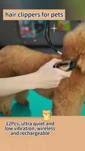 COD Baorun K5 Alat Cukur Bulu Domba Elektrik Tanpa Kabel 4 Comb 1200mAh 3.7V - Golden