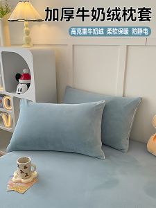 HAOMIAN | Milk Velvet Flannel Pillowcase 48x74cm