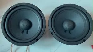 Loa rời bass 20 từ kép 113 - 100 COIL 38 gân mút - giá 1 loa - Loa bass -Loa bass rời