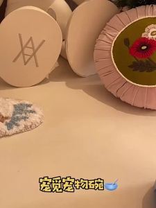 PETSEEK | Bát Mèo Chống Lật Bảo Vệ Cổ