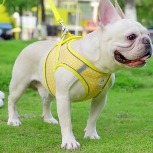 Escape-Proof Cat & Small Dog Harness Set – Adjustable Breathable & Reflective Vest with 4.9ft Leash for Safe Outdoor Adventures (Pink/Mint/Lavender)