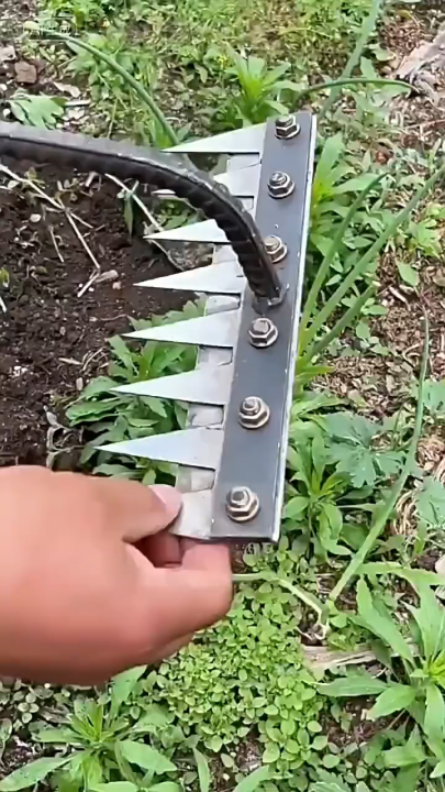 【1-3 Days Delivery】5/6/7/8 Tooth Weeding Steel Rake Farm Weeding Loosen ...