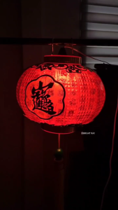 CNY lantern Red lantern Crystal Hanging Light Tanglung cina 水晶 Lampu gantung Chinese lantern Lantern lamp 新年灯笼 Lantern