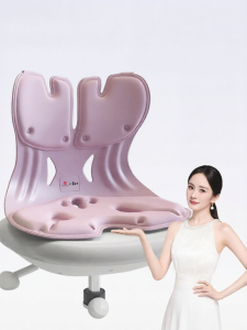 Supporting Waist Cushion for Long Sitting