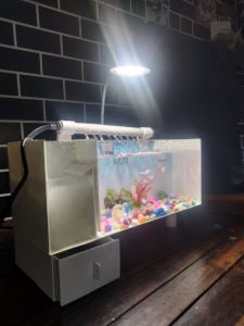 AQUARIUM MINI AKRILIK MINIMALIS FULL SET BESAR JUMBO POMPA FILTER DAN LAMPU LED/aquarium