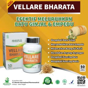 Obat Batu Ginjal dan Batu Empedu Herbal Paling Ampuh 100% Original VELLARE BHARATA Terpercaya Bharata Herbal Original