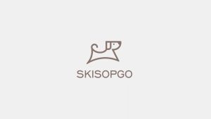 SKISOPGO 3-in-1 รถเข็นสูงสุนัขและแมว 4 ล้อ พับได้ สองชั้น กระเป๋าในรถแบบแยก รถเข็นเดินทาง (รับน้ำหนัก 15 กิโลกรัม)