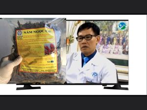 Nấm ngọc cẩu ( bất lão dược tỏa dương) _ hàng cực phẩm loại 1 _tăng cường sinh lực nam nữ.