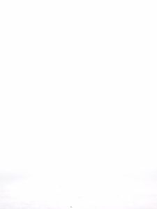 1JINN STUDIO | White Cotton Embroidered Bustier Tight Fitting Short Dress