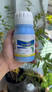 Thuốc trừ sâu Yapoko gold 310sc  Phòng trừ rầy nâu rầy phấn trắng bọ trĩ ruồi vàng bọ nhảy sâu đục quả vẽ bùa rầy xanh- chai 240ml