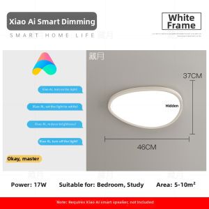 Modern Minimalist LED Ceiling Light