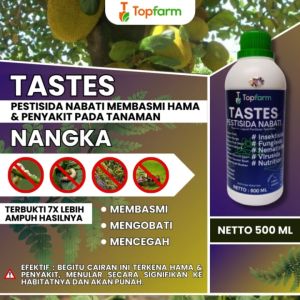 Obat Semprot Buah Nangka & Solusi Lainnya