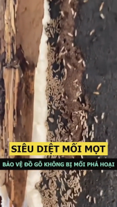 Chai Xịt Diệt Mối Mọt THÁI LAN GECKO 500ml Diệt Mối Cửa Gỗ Sàn Gỗ Tủ Quần Áo Tủ Bếp Tường Trần Nhà