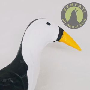 SEMPATI Patung Jontrot Pemikat Burung Ruak Kareo Wakwak Truwok Patung Decoy Boneka Alat Pikat Jerat Umpan Burung Sawah