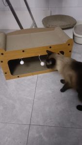 ที่ฝนเล็บแมว บ้านแมวกระดาษ บ้านแมว ที่นอนแมว คอนโดแมว ที่ลับเล็บแมว บ้านลับเล็บแมว ของใช้แมว กล่องแมว ของเล่นแมว