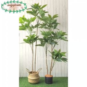 Pohon Artificial Daun Manggis Variasi Tinggi 150 & 170 Cover Purun Belly Dekorasi Rumah Aesthetic