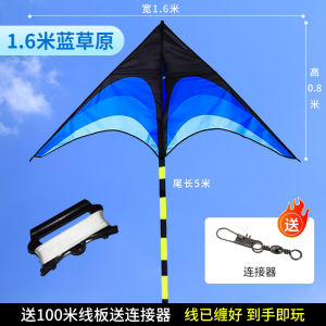 Large Size Professional Kite Easy to Fly in Light Wind for Adults New 2025 Grassland Kite Sport Fitness Fans Supplies