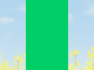 ABC Sambal Asli Sachet 22pcs Sambel Saset Digiling Ala Tradisional Praktis Ekonomis Sambal Semua Makanan A B C