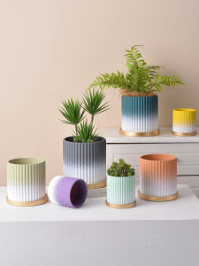 Nordic Minimalist Ceramic Tulip Plant Pot with Tray Personalized Home Green Ivy Butterfly Orchid Green Plant Flower Vase Holder