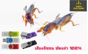 เสียงต่อแมงกระชอนยาวๆ 10 ชั่วโมง จีซอน แฟลชไดร์ฟเสียงต่อแมงกระชอน มีเก็บเงินปลายทาง ใช้ไม่ได้ เสียงไม่ดี ยินดีคืนเงินครับ