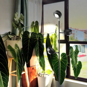 GUANGHELILIANG | Simulating Sunlight Grow Light