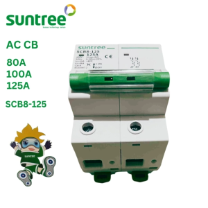 Suntree Power AC Miniature Circuit Breaker 80 A 100A 125A 2 Pole 50/60Hz 220VAC 400VAC