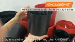 Chậu nhựa C8 Chậu Nhựa Trồng Cây C8 Màu đên Chậu Mũ Dẻo Trồng Cây Chậu Nhựa Giá Rẻ