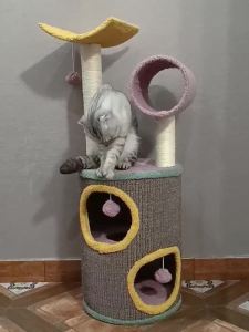 Cat Condo Cat Tree Climbing Cat Tower Cat Scratch Tree Cat Tree Cat Tower Cat Tree Tower Scratch Post Cat Scratch Board Small Apartment Four Seasons Universal Sisal Wear-Resistant Internet Celebrity Closed Upper and Lower Bunk