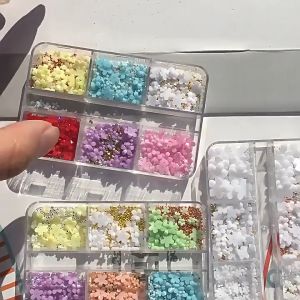 Khay Hoa Bi Mix 6 Màu Trang Trí Móng