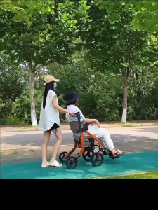 Rollator Walker with Seat 2 in 1 Foldable Walking Sticks Adjustable Lightweight Walking Frame Rollator with 8 inch Rear Rubber Wheels Handles and Backrest for Seniors and Adult 四轮代步助行车购物车