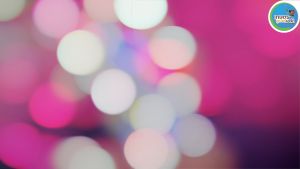 เทปน้ำหยดตราม้าน้ำ ความหนา0.16มม. ระยะห่างรู 30 ซม.1 รู ยาว1000 เมตรเต็ม สายเทปน้ำหยด ส่งตรงจากบริษัท ประกัน 7 วัน