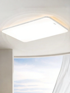 HUIPU | Full Spectrum Modern Simple Ceiling Light