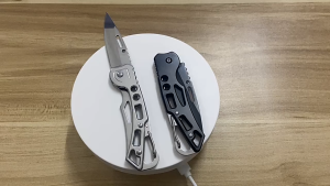 Portable Folding Pocket Knife with Carabiner Clip Stainless Steel EDC Mini Knife for Camping Fruit Cutting & Daily Use >