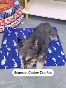 Comfortable Cooling Mats for Your Pets: A Comprehensive Guide