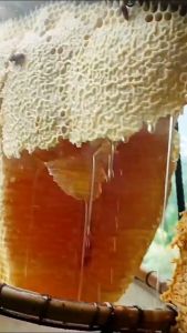 madu murni asli original tanpa campuran 630 g Madu Manika by katazia